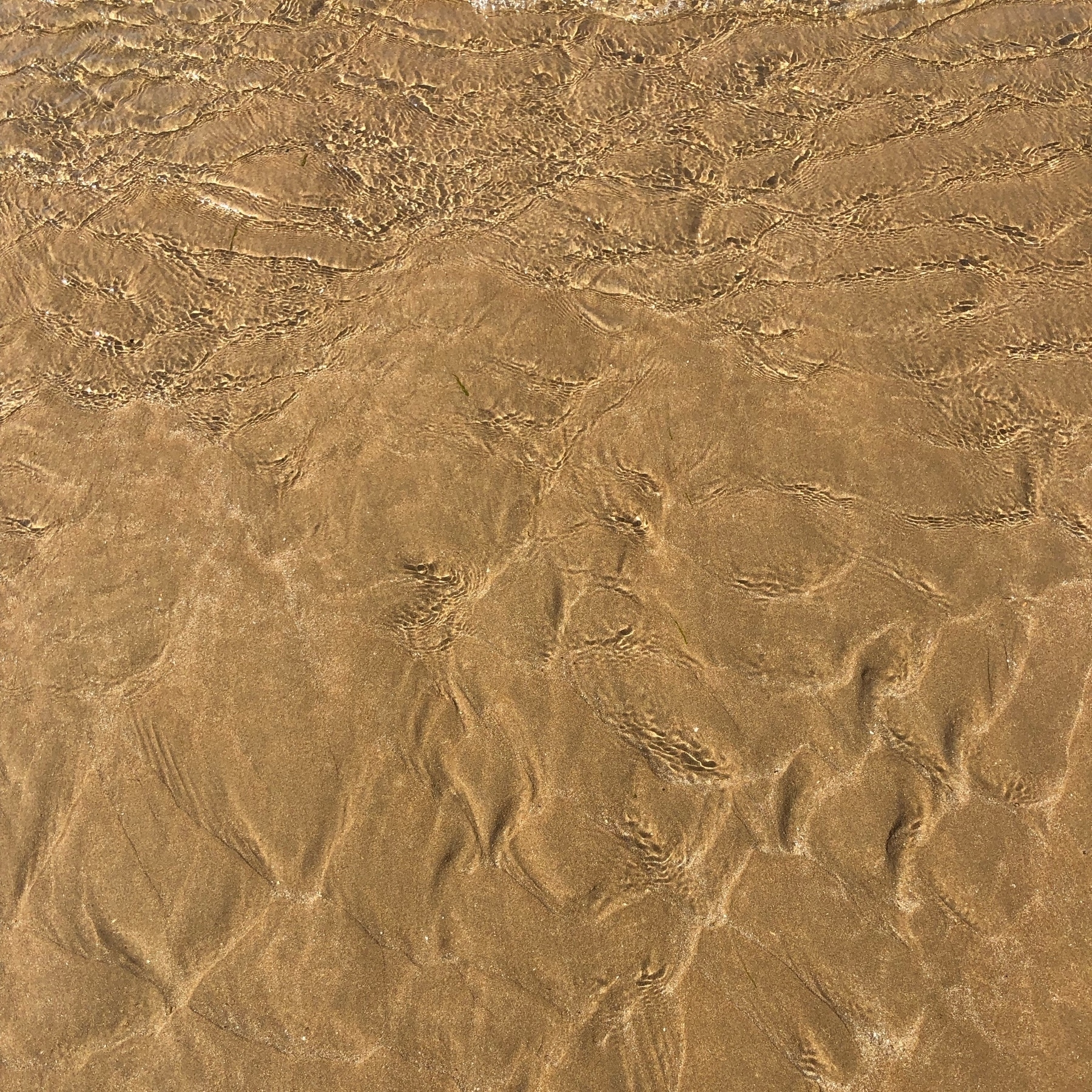 water coming out closer to my feet at the beach shore