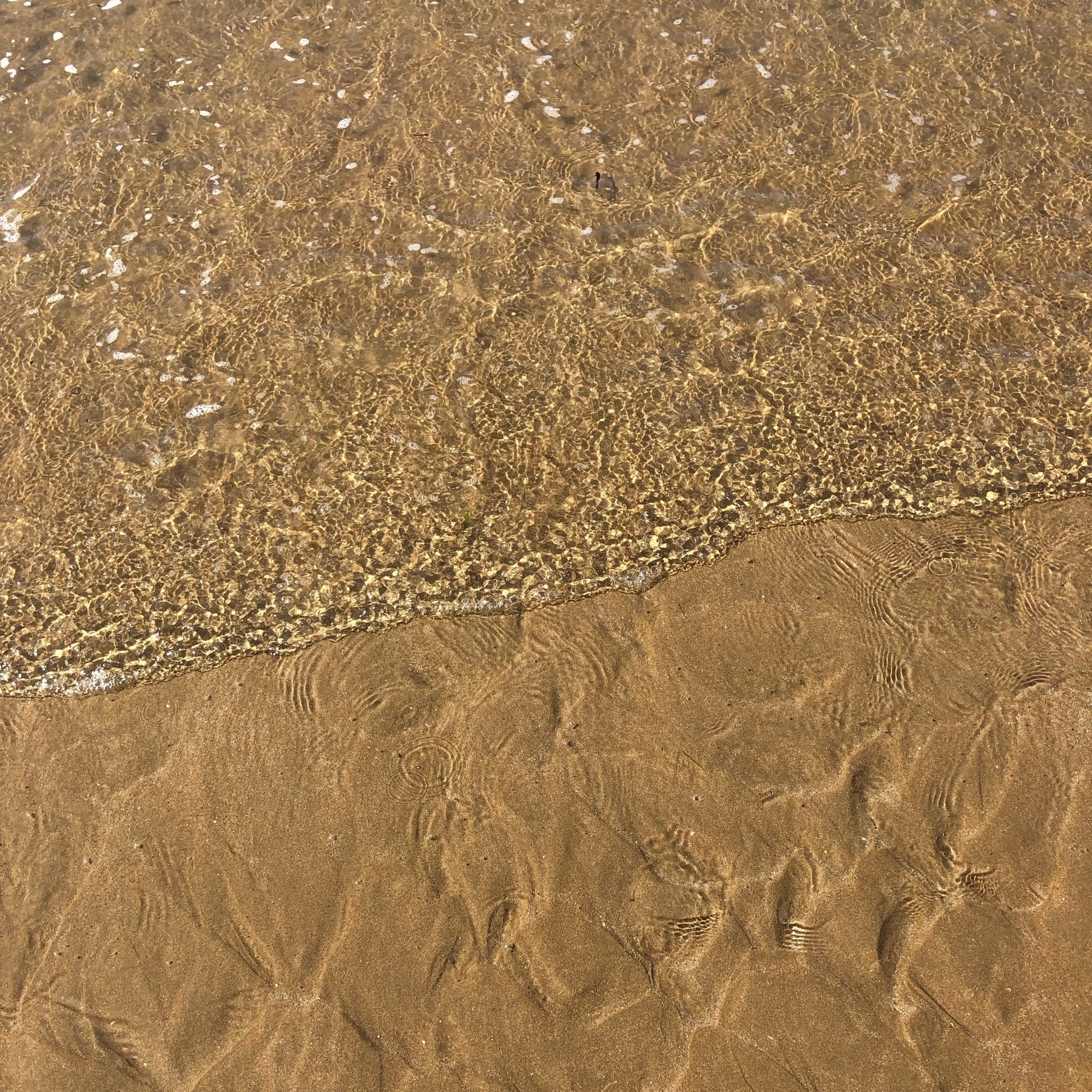 Water coming out at the beach shore